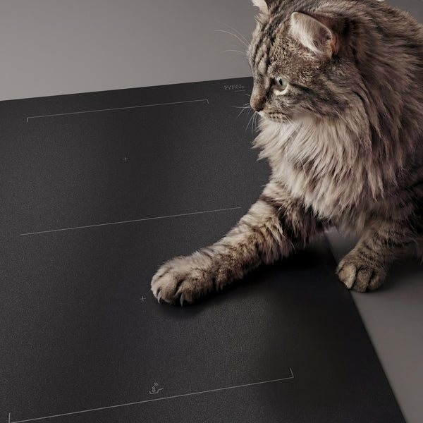 Bosch PVQ81AH26E Series 6, Induction hob with integrated ventilation system, 80 cm, Matt black-18