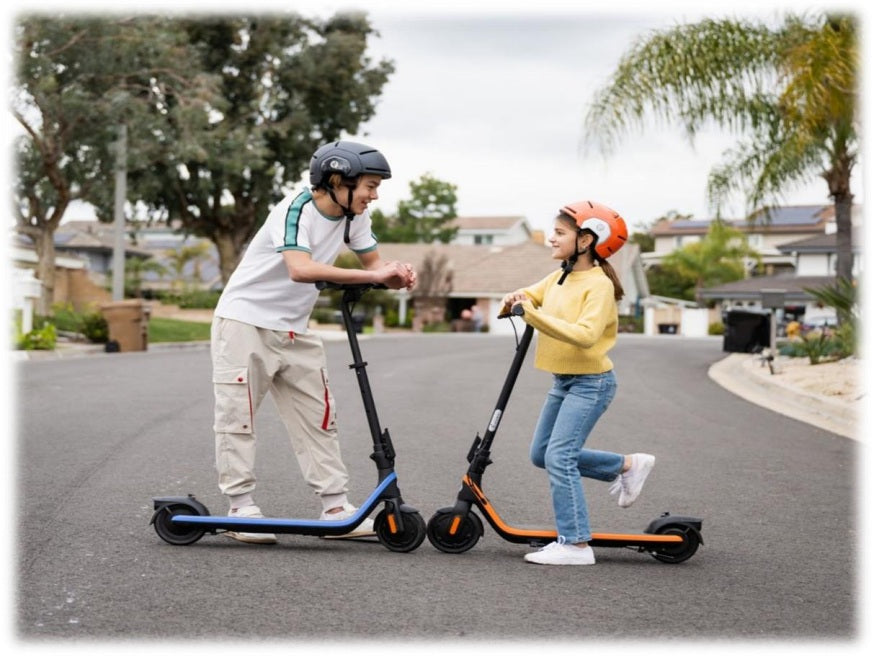 Segway KickScooter C2 PRO B