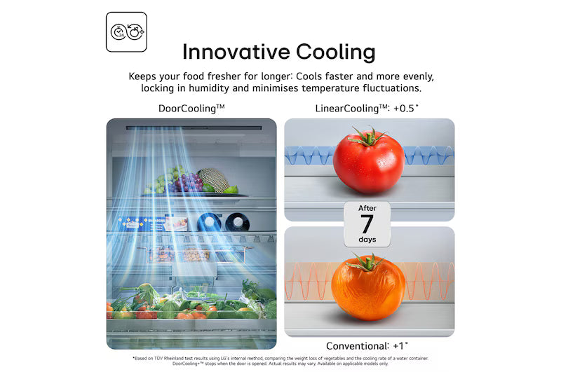 LG GBBSJ2CCPY Fridge Freezer-10